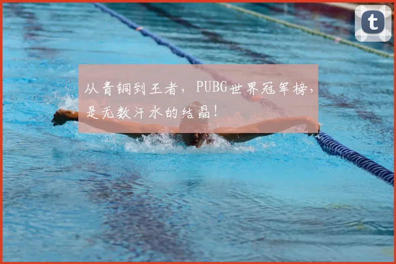 从青铜到王者，PUBG世界冠军榜，是无数汗水的结晶！