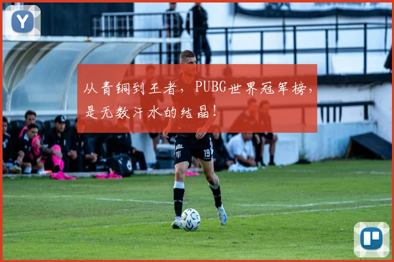 从青铜到王者，PUBG世界冠军榜，是无数汗水的结晶！