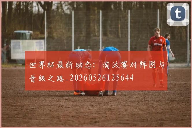 世界杯最新动态：淘汰赛对阵图与晋级之路_20260526125644